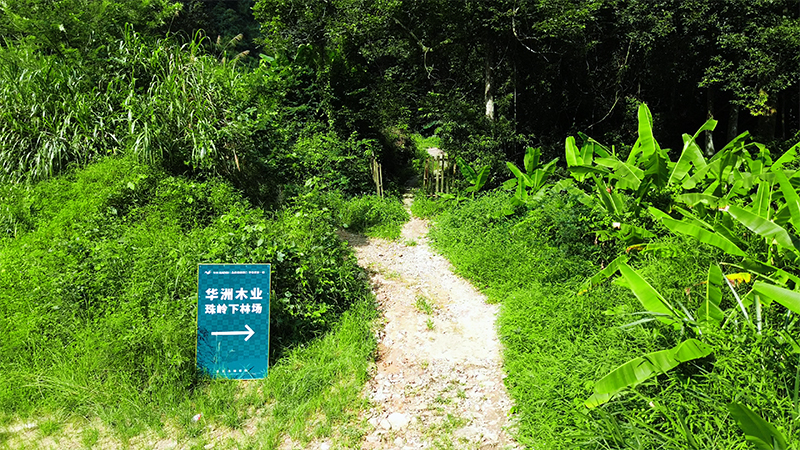 嚴格選材，只為一張好板材！(圖1)